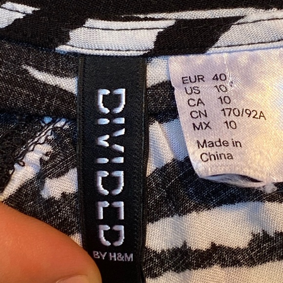 Divided by H&M Zebra Stripes Dress - Picture 7 of 7